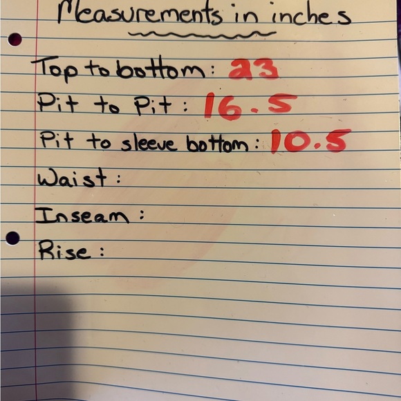 Alyx Black Sheer Top with Gold Accent - Picture 5 of 5